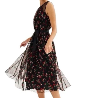 Vestido Romántico Elegante Delicado DRAPER JAMES RSVP Sin Mangas Clip Punto Tul Talla L Foto 1 de 4