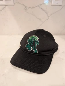 Gorra de béisbol Eugene Emeralds YOUTH Bigfoot Sluggo Strapback OC Deportes - Imagen 1 de 4