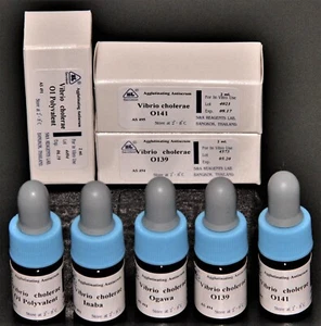 S&A Reagents Lab 2 ml Vibrio Cholerae serotipado antisero aglutinante - Imagen 1 de 6