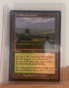 Magic the Gathering - Windswept Heath - Land, Onslaught, M- MTG SLEEVE INCLUDED - Picture 1 of 1