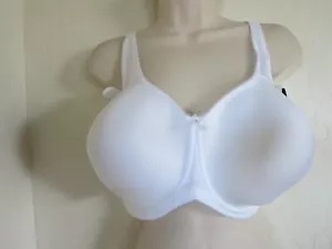 WACOAL 46D #853192 BASIC BEAUTY UNDERWIRE SPACER T-SHIRT BRA, WHITE, NWT $65 - Picture 1 of 6