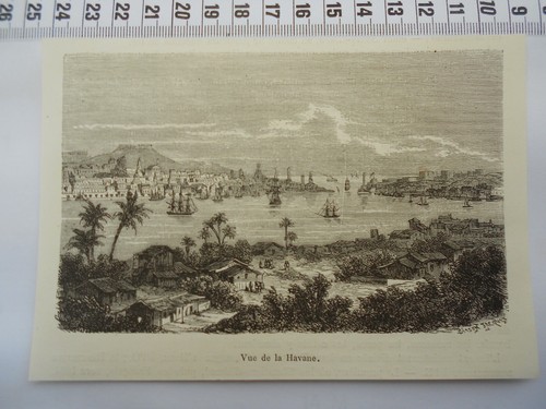Foto 1 di 1