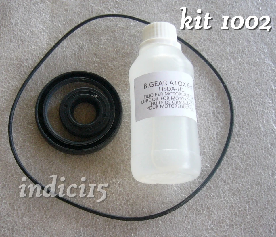 indici15 Kit Assistenza 1002 Olio Guarnizioni n°5 motore 500w-600w-1200w Reber