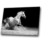 Animal Canvas Prints Framed Wall Art Small Picture Black White Horse Gallop