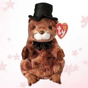 ⭐️ PUNXSUTAWNEY PHIL 2004 - TY Beanie Baby Groundhog - MWMT'S - Picture 1 of 5