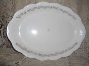 Vntg~Antq LG.Johnson Bros.Ironstone TransferWare England Oval Serving Platter - Picture 1 of 12