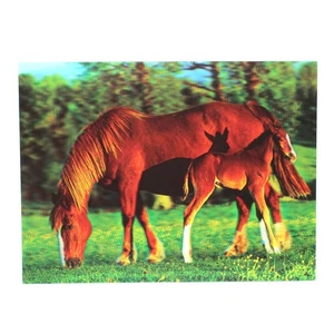 Poster lenticolare 3D madre cavallo e puledro stampa 12 x 16 pollici - Foto 1 di 1
