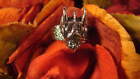 ~GORGEOUS DRAGON RING & FREE WITCH WRITTEN SCROLL GIFT~SIZE 8~CLOSING SHOP~