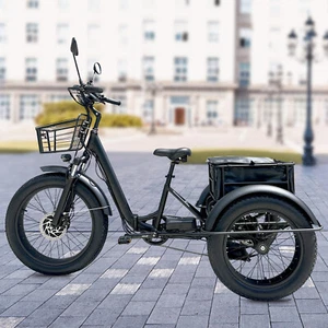 Kristall EX200 20" 1000W Motor Electric Trike Adult Tricycle 3 Wheel E Bike AU - Picture 1 of 16