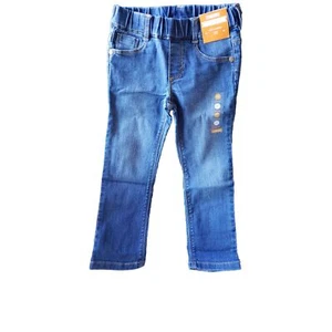 Gymboree Toddler Girl 3t Jeggings NWT BTS - Picture 1 of 10
