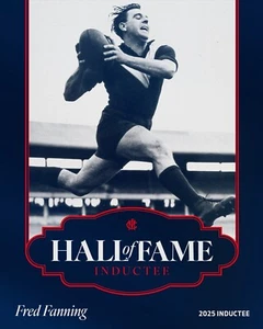 MELBOURNE DEMONS afl football LEGEND champion team player POSTER, FREE POST,HALL - Picture 1 of 1