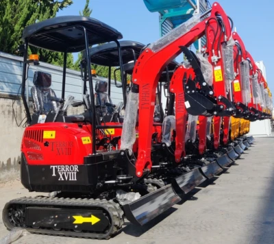 FREE SHIP TERROR XVIII 2 Ton New Mini Excavator, KUBOTA D902 Diesel Engine 16 hp - Image 1 of 4