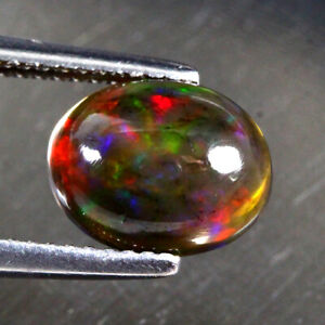 1.56ct 10x8mm Oval Cab Natural AAA Floral Flash Play Of Color Black Opal Amazing