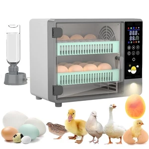 Incubatrice Completamente Automatica per 24 Uova con Tornitura Automatica delle Uova e Humi... - Foto 1 di 6