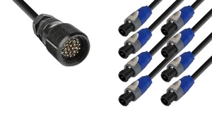 DG Systems - Spider Socapex M a 8 Speakon NL2 / 8x cavi 2x2,5mmq Made in Italy - Picture 1 of 2