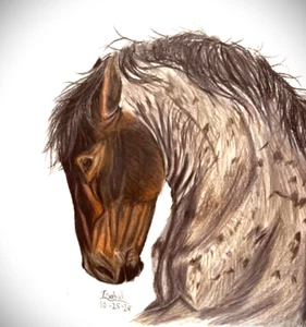 Wild Mustang Colored Pencil Portrait | Hand Drawn | Signed & Dated - Picture 1 of 1