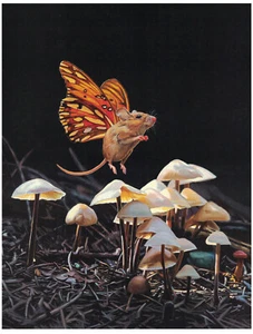 Lisa Ericson "Hover" image: Frame it - Picture 1 of 2