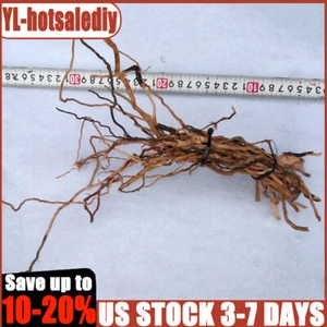 Natural Driftwood Root Trunk Tree Aquarium Fish Tank Landscaping Decor Supply - Picture 1 of 9