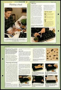 Planting A Seed #31 Tips - Success With House Plants 1990 Fold-Out Card - Picture 1 of 1