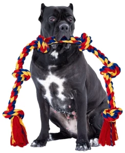 Interactive Dog Toys - BLINCOO Elite 48 for Italian Cane Corso! - Picture 1 of 23