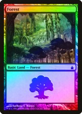 Forest (305) FOIL Ravnica: City of Guilds NM Basic Land MAGIC CARD ABUGames