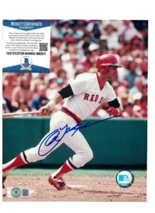 Carl Yastrzemski Boston Red Sox Signed 8x10 Baseball Photo Beckett FX75 - Picture 1 of 1