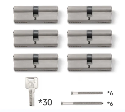 IGZ Zylinderschloss Profilzylinder gleichschließend 6x 80 mm 40/40 NEU