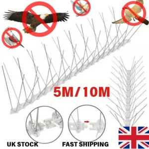 Steel Bird Spikes 10M/5M Anti-Pigeon Deterrent for Walls, Fences, Window Sills - Picture 1 of 14