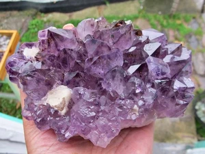 Amethyst Kristall Heilung Cluster Bettpunkte Intuition Natur Kraftstein 908g - Bild 1 von 24