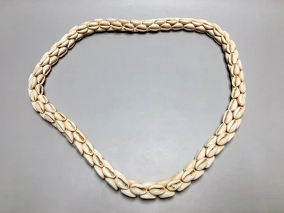 Collar Cowrie Shell Lei 36" - Corona Cowry Seashells Foto 1 de 4