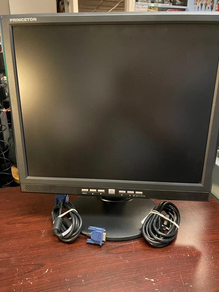 RARE - Princeton Digital VL1918 LCD Monitor - 19" - VGA/DVI-D - speakers - Image 1 of 4
