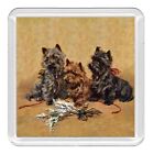 Cairn Terrier Dog Group Heather Acrylic Coaster Novelty Drink Cup Mat Great Gift