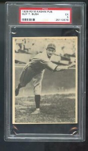 1929 R316 Kashin Publications Guy T. Bush PSA 5 Graded Baseball Card Chicago