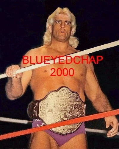 RIC FLAIR WRESTLER 8 X 10 WRESTLING PHOTO NWA WCW WWF - Image 1 of 1