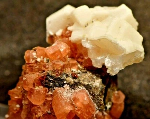 EPIDIDYMITE, SERANDITE CATAPLEIITE PSD SODALTE MANGANONEPTUNITE 2X2CM CANADA #26 - Foto 1 di 5