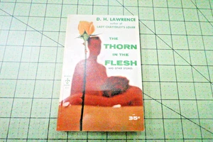 THE THORN IN THE FLESH BY D. H. LAWRENCE 1956 VINTAGE BERKLEY BKS FICTION PB - Picture 1 of 3