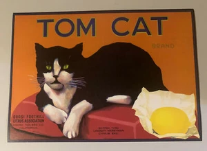 Tom Cat Limon Crate Label Ojos Verdes Blanco y Negro De Colección - Imagen 1 de 6