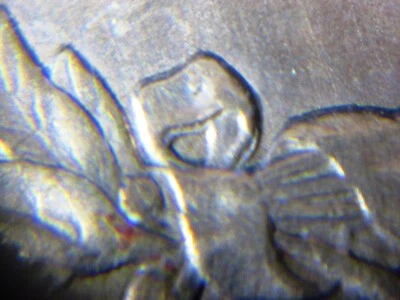 1862 Indian Head Cent SNOW 6 DDR Doubled Die Cherrypickers ANACS AU details - Image 1 of 4