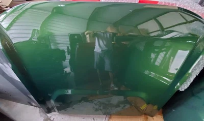 Ford Bronco 2021-2025 capó OEM en erupción verde metálico Foto 1 de 4