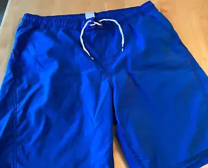VTG NIKE EMBROIDERED SPELLOUT BLUE MESH LINED SWIM TRUNKS MEN’S SZ L - Picture 1 of 5