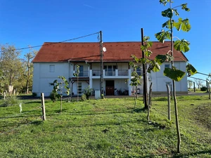 Pferdehof am Balaton - Bild 1 von 17