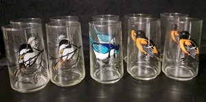 DE COLECCIÓN 10 VASOS DE BEBER ANCHOR HOCKING SONG PÁJARO BALTIMORE ORIOLES BLUE JAY - Imagen 1 de 8