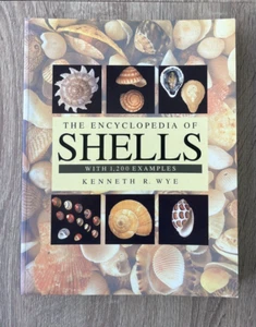 Encyclopedia of Shells - Paperback by Kenneth R WYE -- Very Good 1-86160-220-0 - Picture 1 of 7