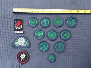 Lot of 13 Vintage 1960s Girl Guide Cloth Badges - Picture 1 of 23