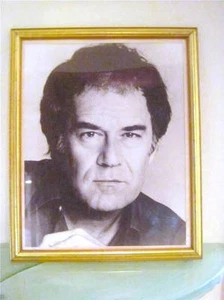 Larry Luckinbill Actor Large Framed B&W Photograph Portrait, Video Lucille COA - Picture 1 of 3