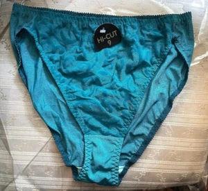 Body & Soul HI CUT Panties The Avenue Sheer Nylon & Spandex embroidery NWT Sz 9 - Picture 1 of 7