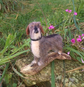 Drahthaardackel ""Libby"" - EICHE, Nadelfilz, Hund, jetzt verkauft, nur noch Beispiel - Bild 1 von 9