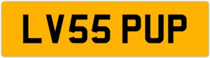 11 π LOVES DOG LV55 PUP πΆ BREEDER PRIVATE NUMBER PLATE JAN JEN EVE ANN BEN JOE - Picture 1 of 5