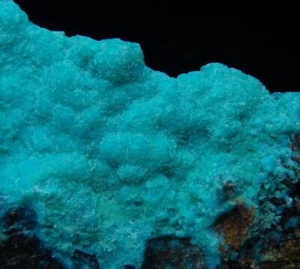 CHRYSOCOLLA intensive colour ! USA New Mexico - Grant County Tyrone Mine /pj813 - Picture 1 of 8