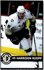 Harrison Ruopp 2014-15 Wheeling Nailers